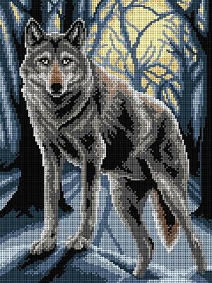 Wolf in the dark