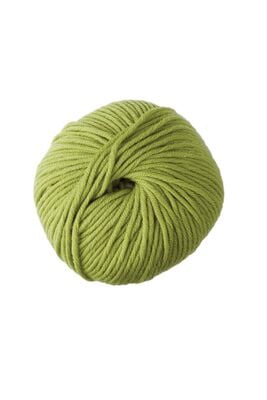 DMC Woolly 5 pura lana merinos col. 89 verde