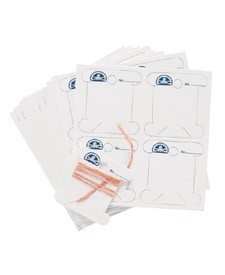 Farfalline di Carta