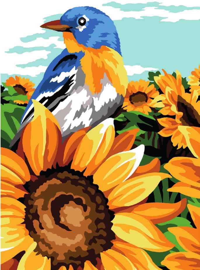 Uccello su girasole Uccello su girasole