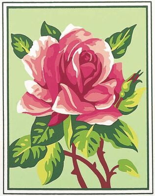 La Magnifica Piccola Rosa, 17361
