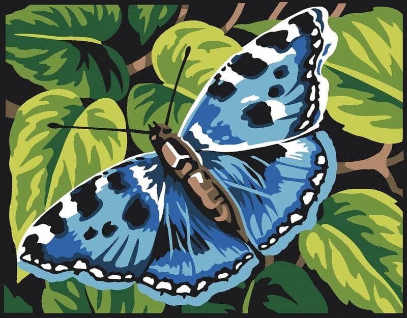 Una Farfalla Blu, 17358