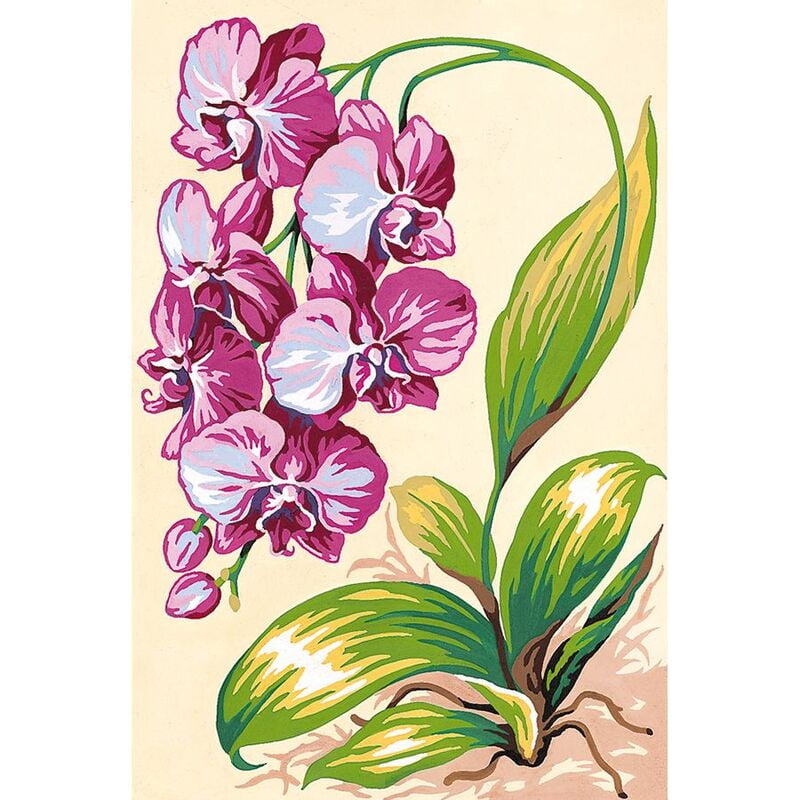 Orchidee meravigliose, 7466 Orchidee meravigliose, 7466