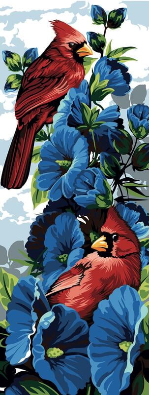 Piume e Petali Piume e Petali