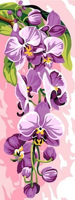 Orchidea Selvaggia